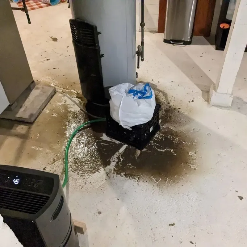 Sewage Backup Cleanup Service in East York, PA